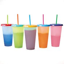 Load image into Gallery viewer, Color Changing Cold Drink Cups: 24oz Blank Cold Cups - 5 Reusable Cups, Lids and Straws - Summer Coffee Tumblers - Summer Cups, Set of 5